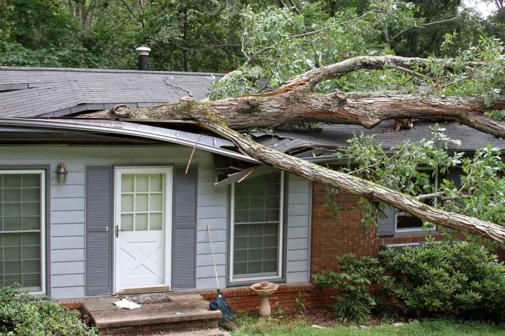 Trusted Wind Damage Expert in Fredericksburg