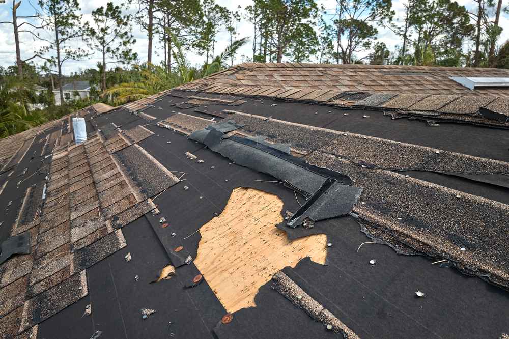 Trusted Storm Damage Roof Expert in Virginia