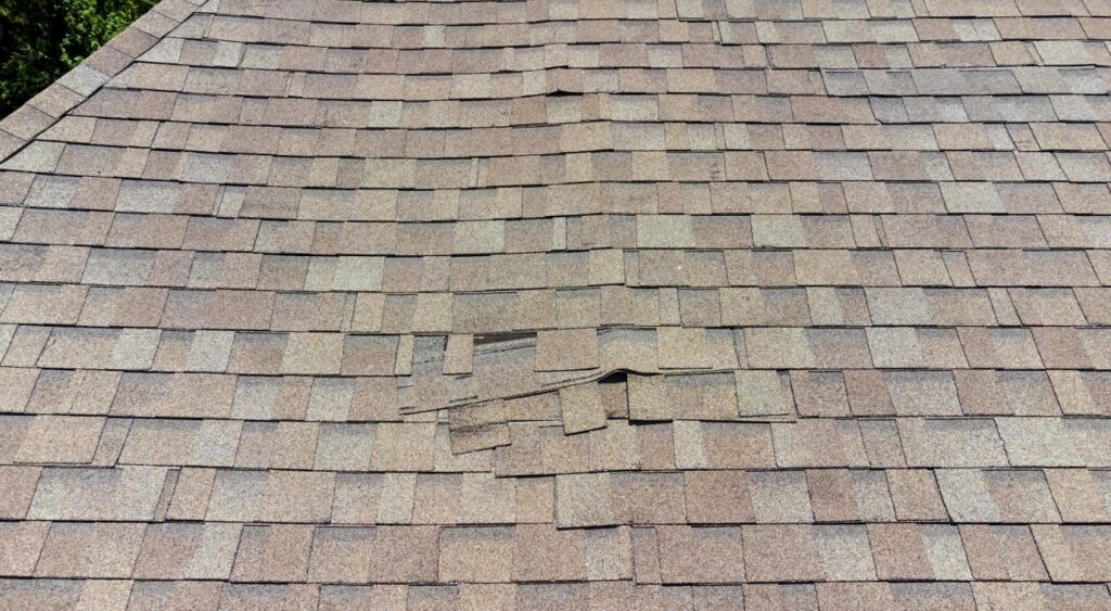 damage asphalt shingle roof