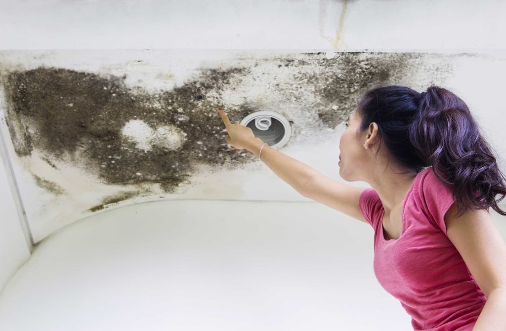 check ceilings for roof leak